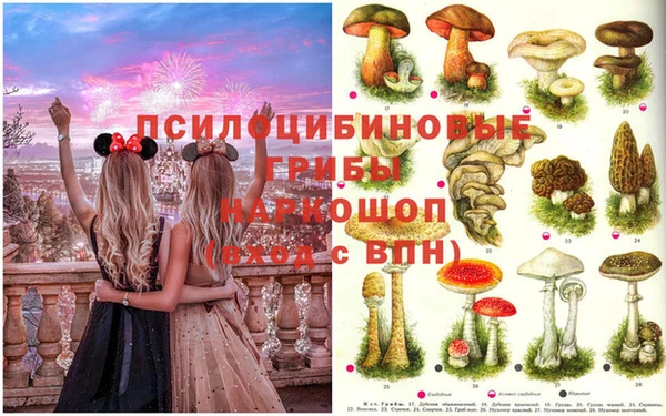 марки lsd Богородск