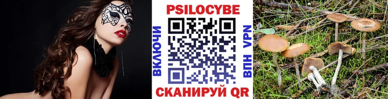Галлюциногенные грибы Magic Shrooms  даркнет сайт  Гусь-Хрустальный 